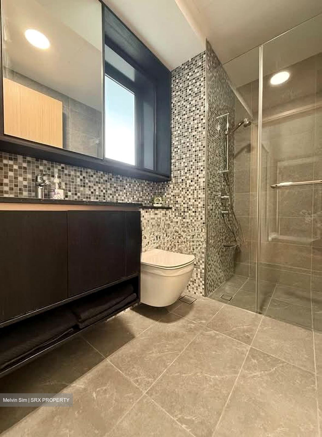 The Antares (D14), Apartment #610669491